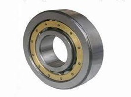 Bearing NF203