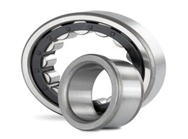 Bearing NJ1028